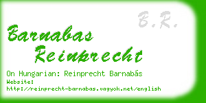 barnabas reinprecht business card